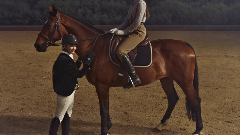 Istruttore accanto a un cavaliere su cavallo baio durante una lezione individuale in campo