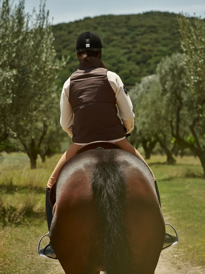 Cavaliere visto di spalle su un sentiero tra ulivi e colline al mattino